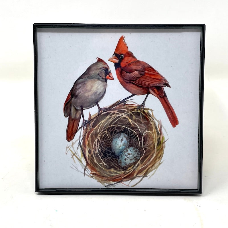 Framed Birds - 4x4