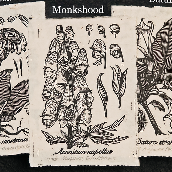 Block Print - Botanical