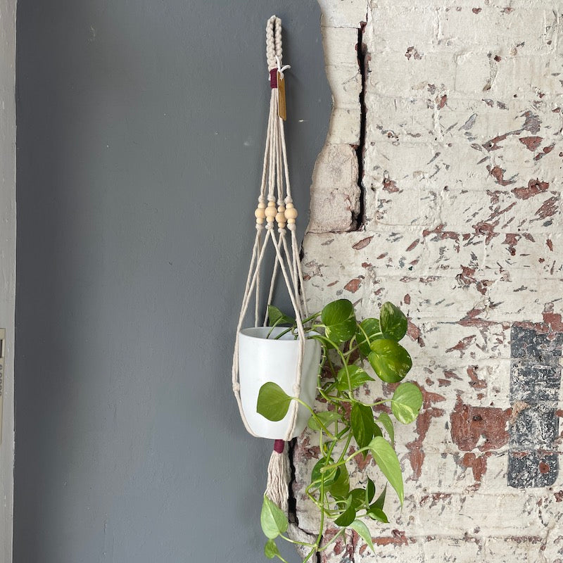 Macrame Plant Hanger