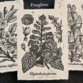 Block Print - Botanical