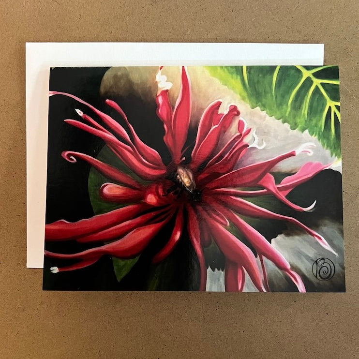 Spring|Summer Note Card Collection