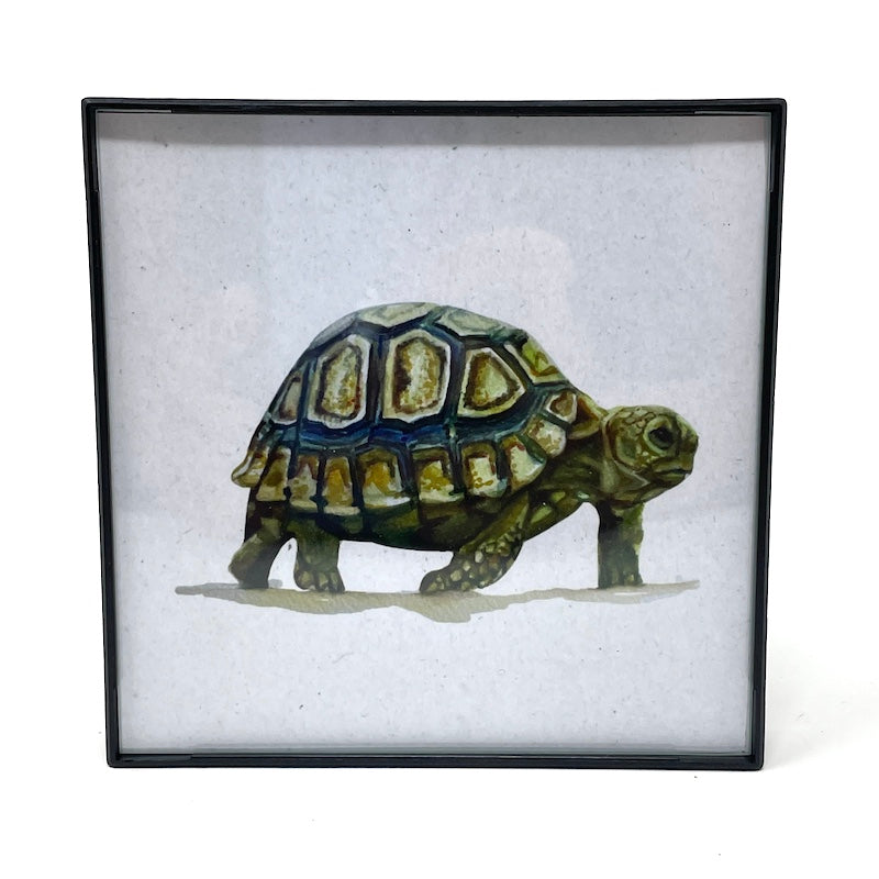 Framed Woodland Animals - 4x4