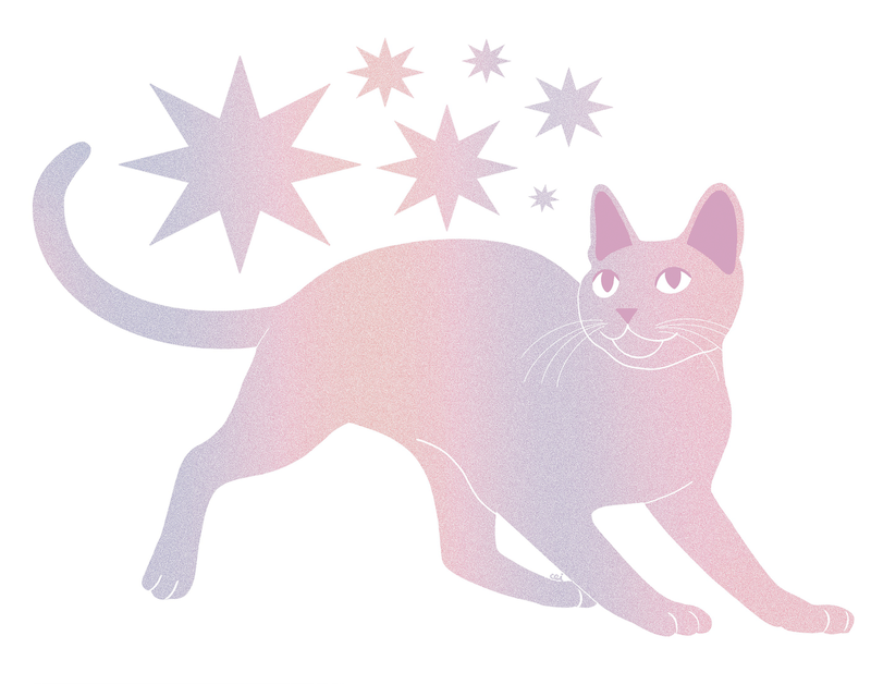 Print - Sparkle Cat