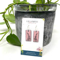 Pink Larkspur Doodle Earrings