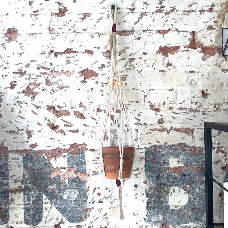Macrame Plant Hanger