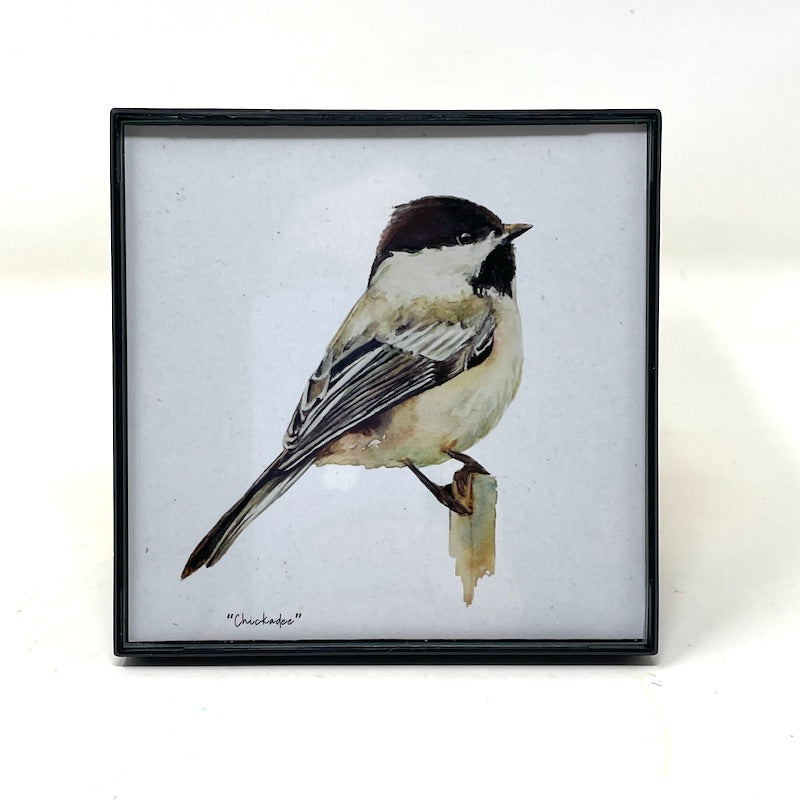 Framed Birds - 4x4