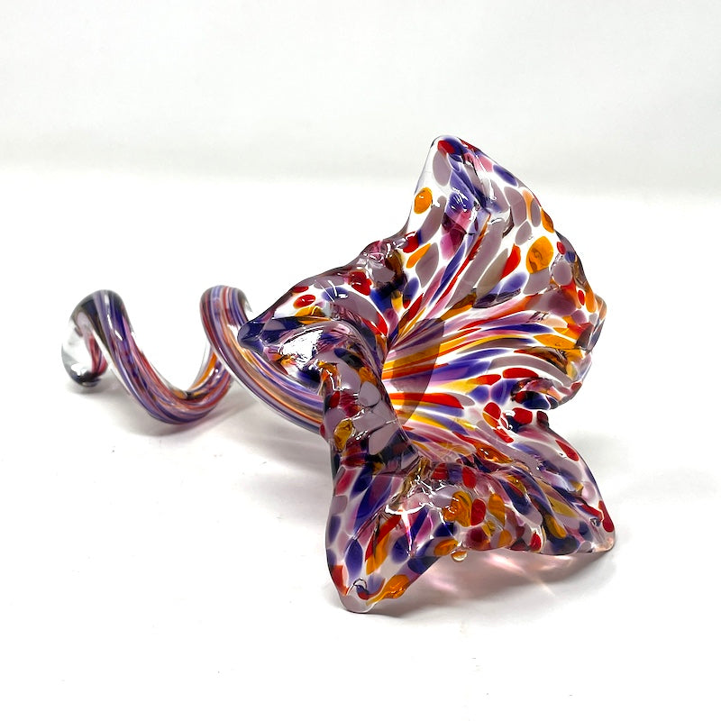 Flower - Sunset 2025