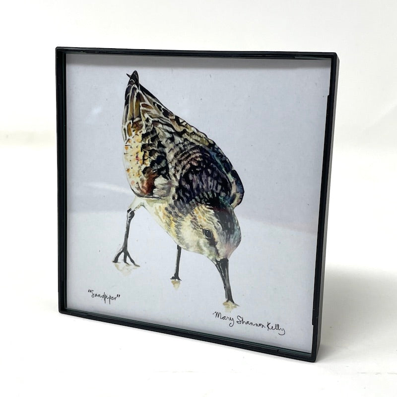Framed Birds - 4x4