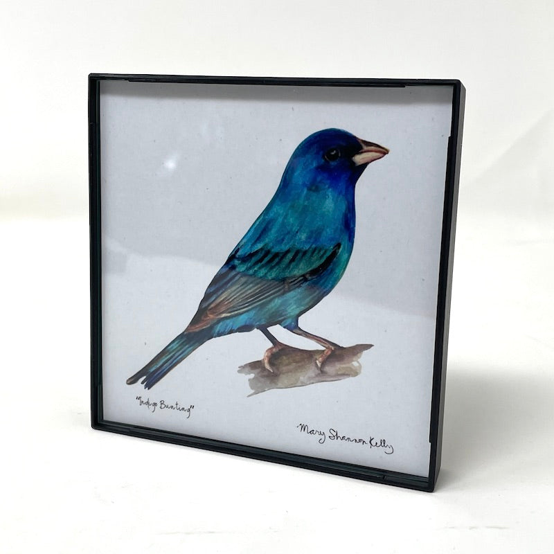 Framed Birds - 4x4