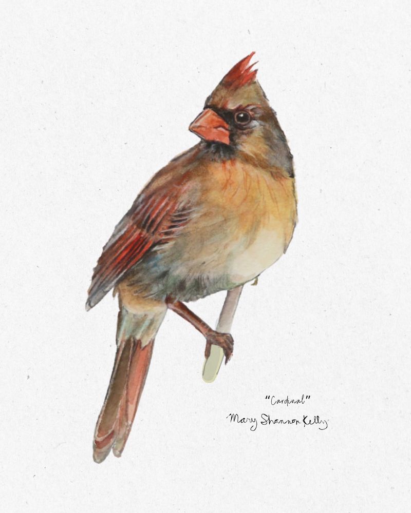 Notecard - Birds