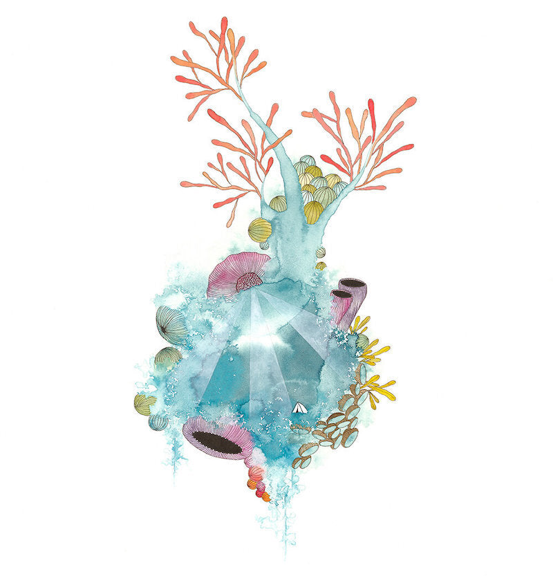 Archival Print - Come On In, The Water's Fine