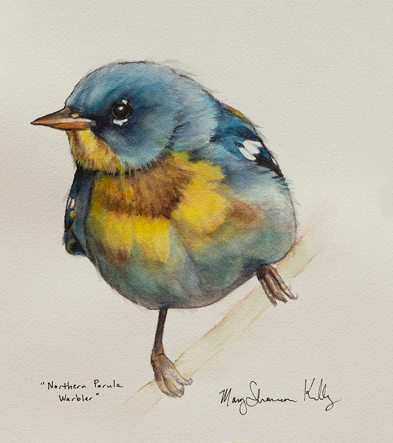 Notecard - Birds