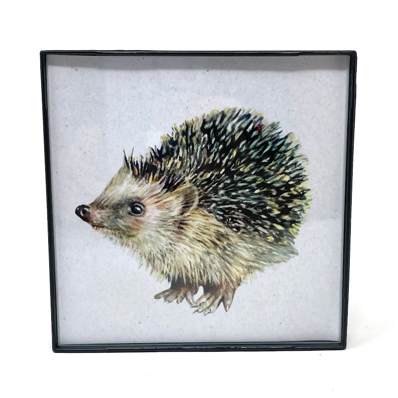Framed Woodland Animals - 4x4