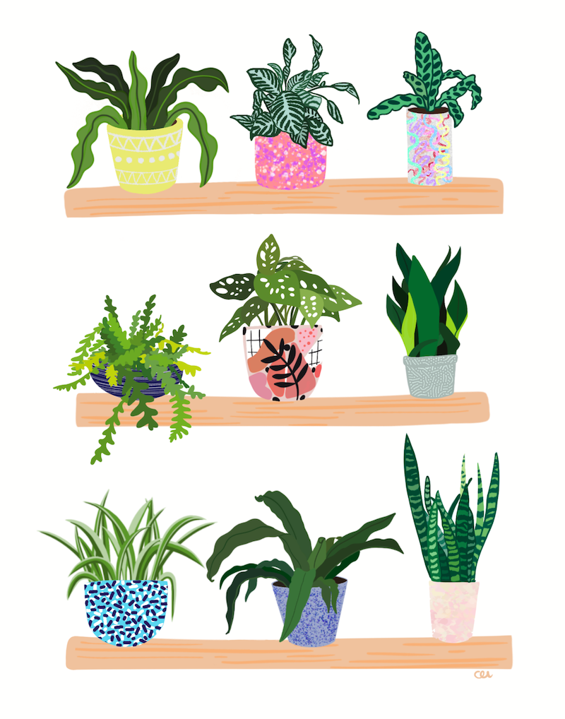 Print - House Plants