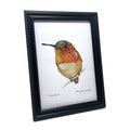 Framed Birds - 5x7