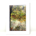 Art Print - Leaves Transition at Avondale Lake