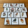 Framed Birds - 4x4