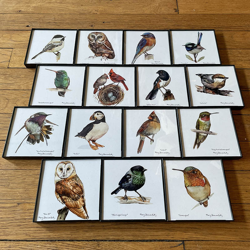 Framed Birds - 4x4