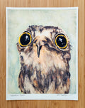 Print - Persuasive Potoo