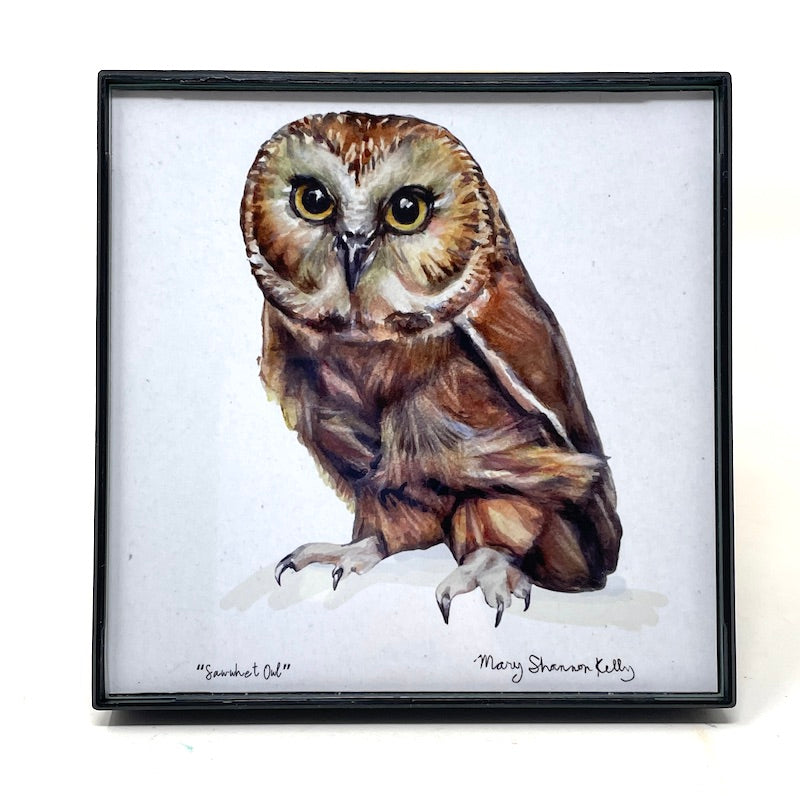 Framed Birds - 4x4