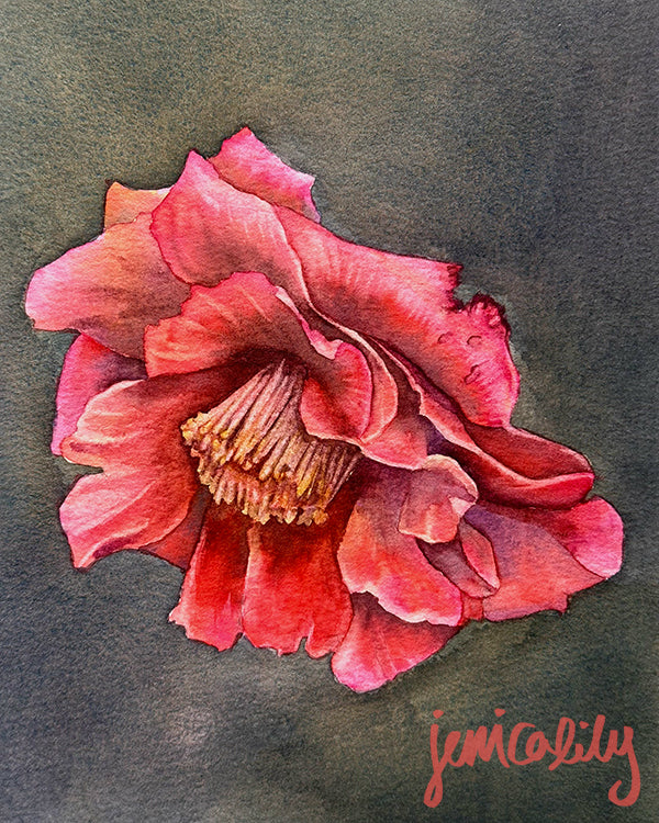Red Camellia in Watercolor - March 1