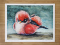 Print - Flamboyant flycatcher