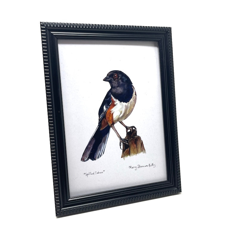 Framed Birds - 5x7