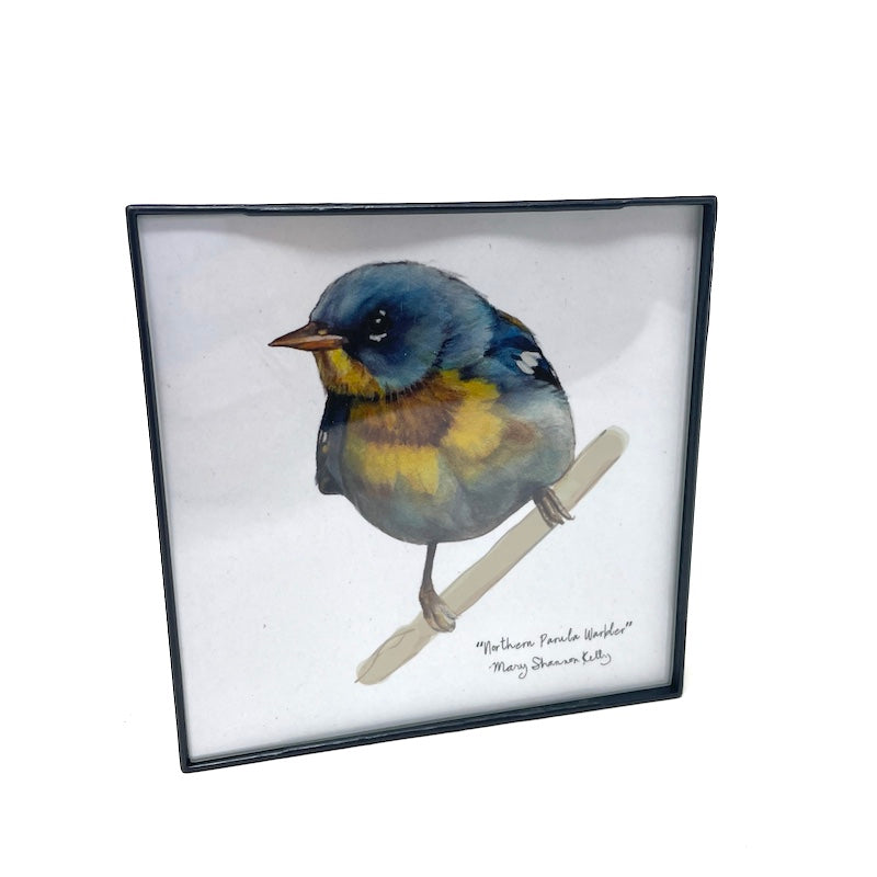 Framed Birds - 4x4