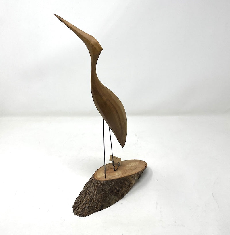 Wading Bird