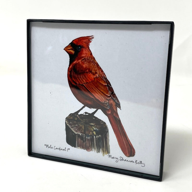 Framed Birds - 4x4