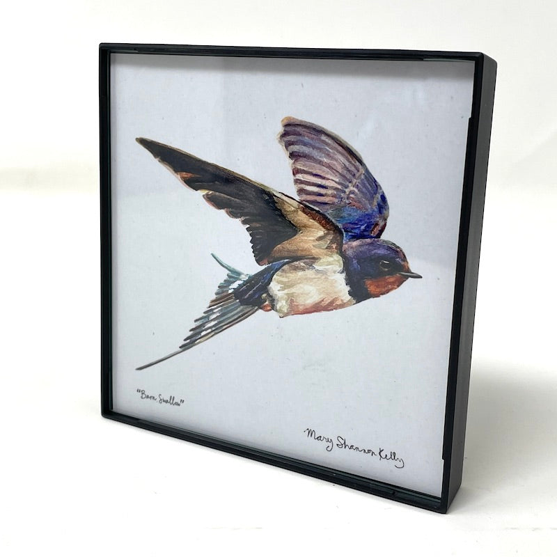 Framed Birds - 4x4
