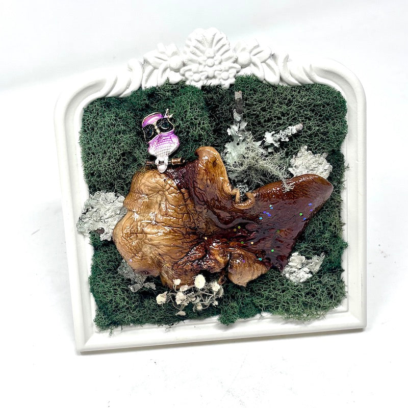 Owl Mushroom Art