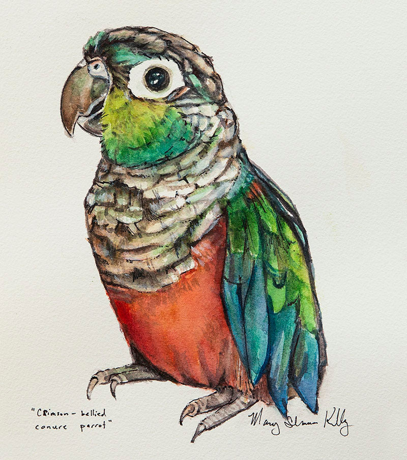 Notecard - Birds
