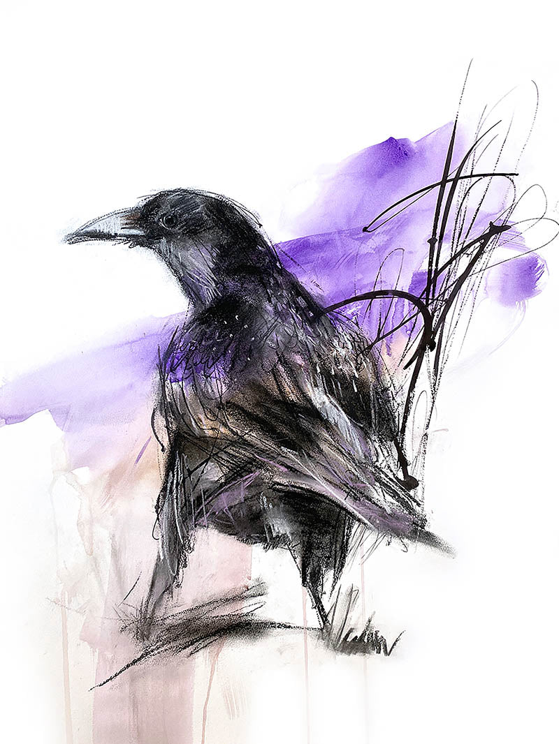 Watercolor Raven