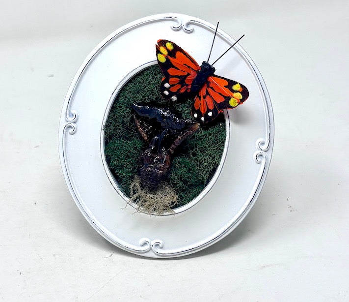Small Mushroom Butterfly