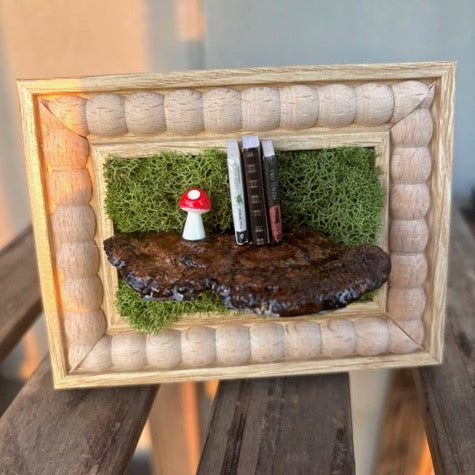 Small Mushroom Library