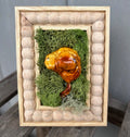 Yellow Mushroom Art