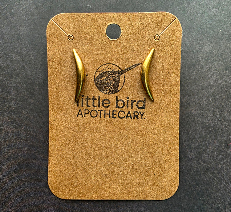 Earrings - Spikey studs
