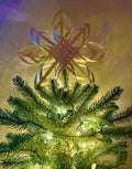 Scandinavian Winter Stars