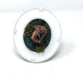 Small Mushroom in White Frame